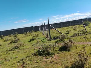 50/100 Plot for Sale in the Hearts of Nanyuki