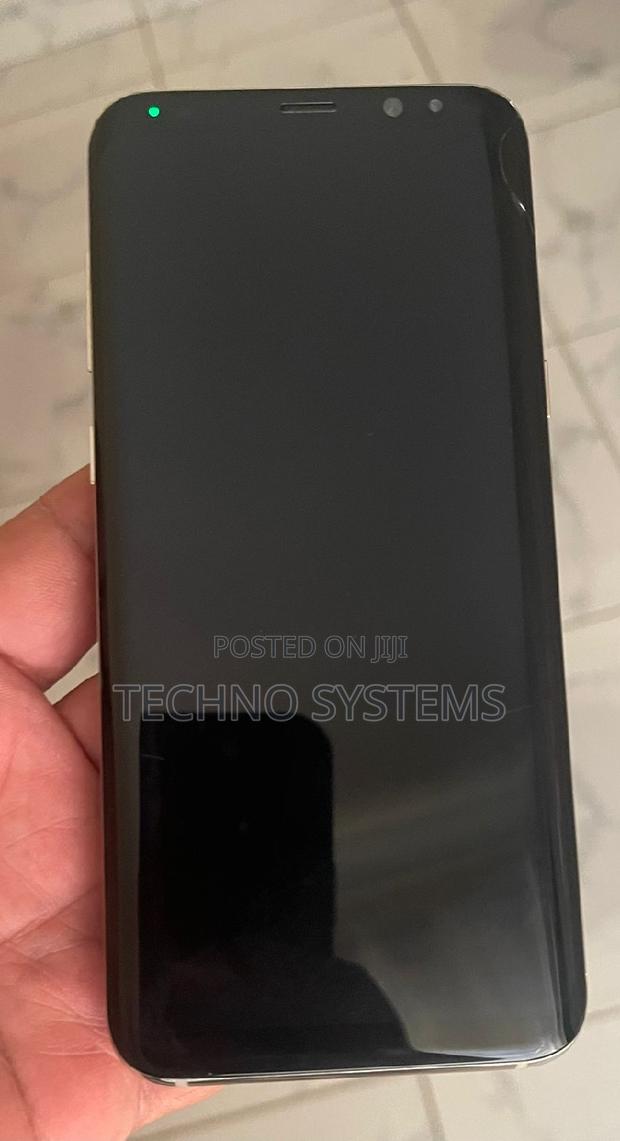 Samsung Galaxy S8 Plus 64 GB Blue