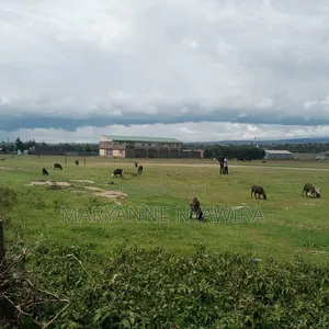 50 by 100 Plot in Narumoro West Opposite Jacanas Hotel