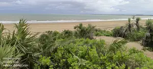 Beach Land
