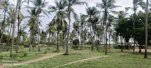 Beach Land