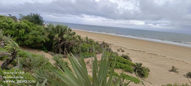 Beach Land - thumbnail 4