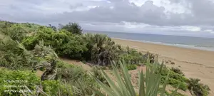 Beach Land