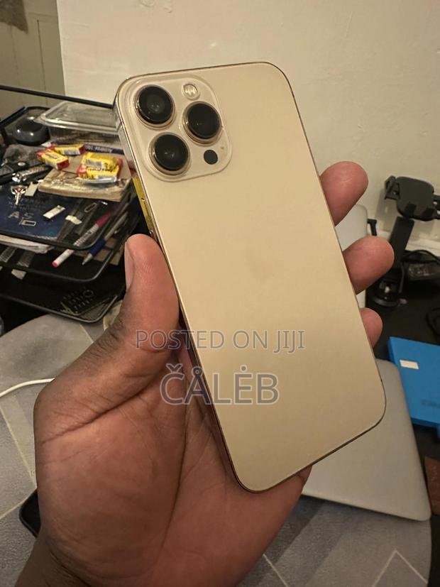 Apple iPhone 13 Pro Max 512 GB Rose Gold - thumbnail 2