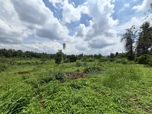 Half Acre Plot for Sale Along Njathaini Rd,Off Kiambu Rd