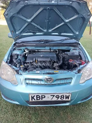 Toyota Corolla RunX 2005 Green