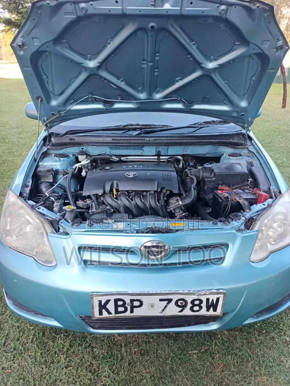 Toyota Corolla RunX 2005 Green