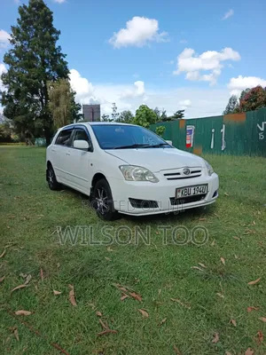 Toyota Corolla RunX 2005 White