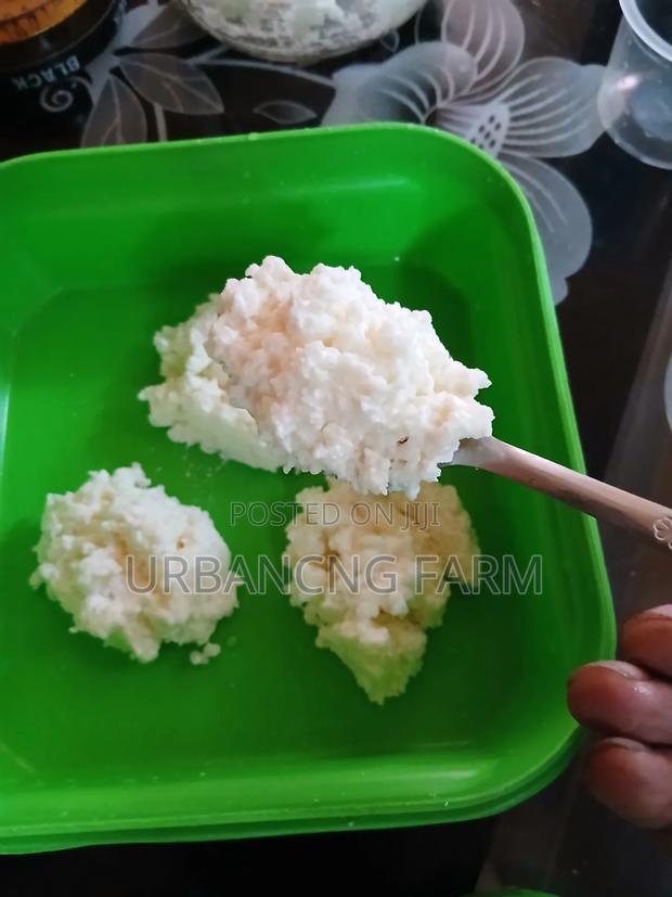 Milk Kefir Grains for Making Probiotic Yoghurt Fresh Kefir Milk - main view