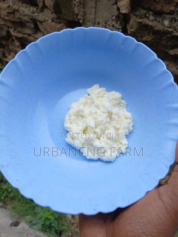 Milk Kefir Grains for Making Probiotic Yoghurt Fresh Kefir Milk - thumbnail 7