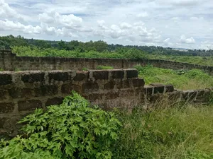 Plot for Sale