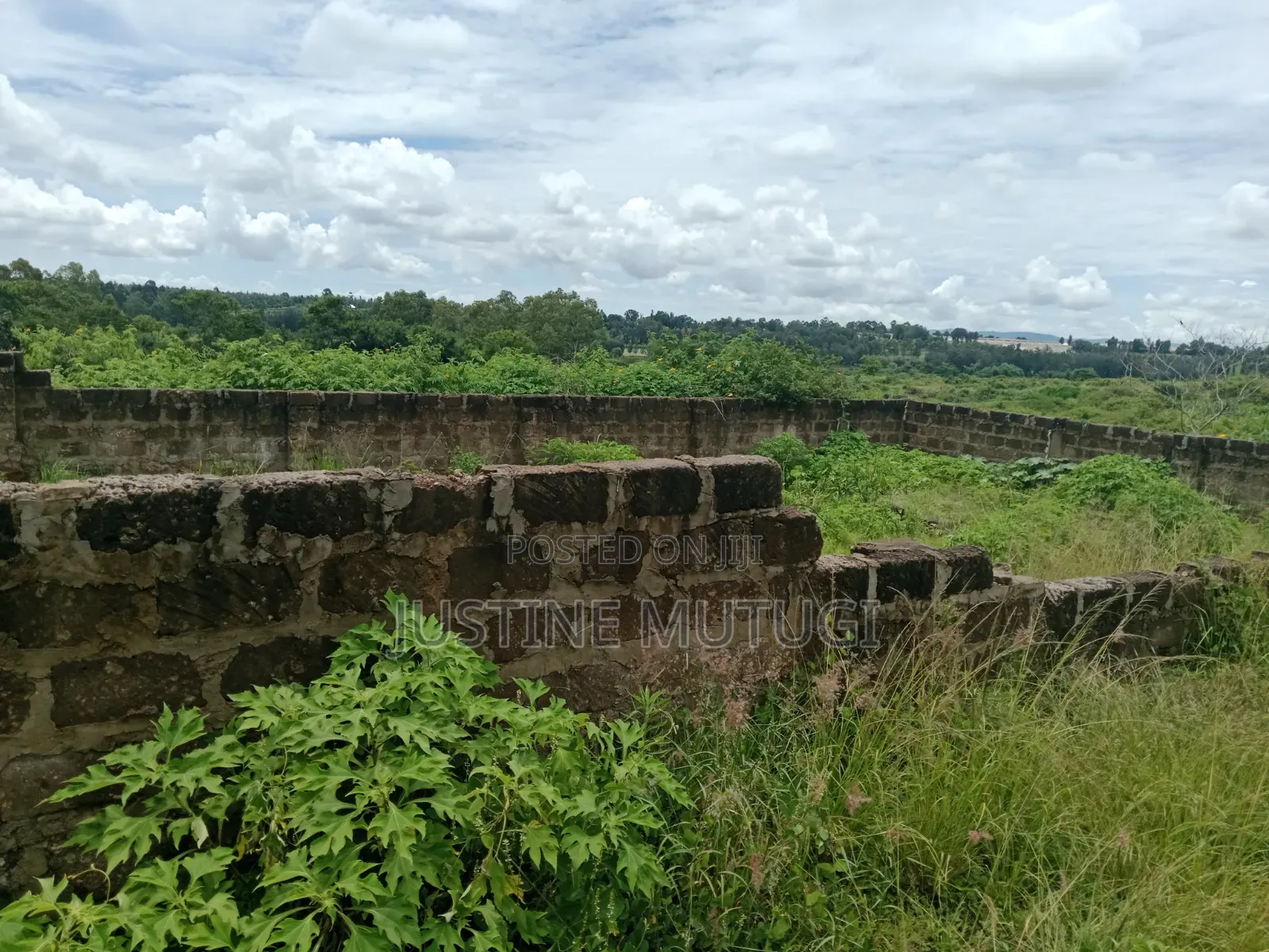 Plot for Sale