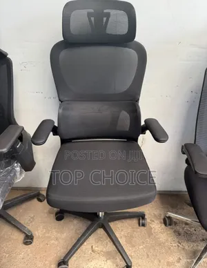 Ergonomic Office Chairs