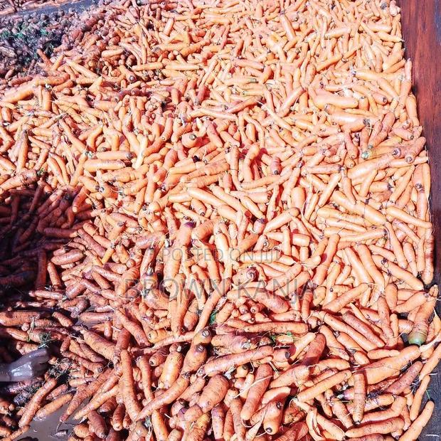 Fresh Farm Carrots