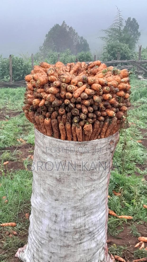 Fresh Farm Carrots - thumbnail 4