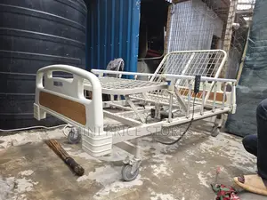 3 Crank Electric Bed