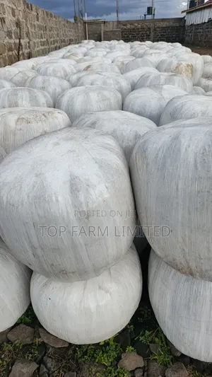 Corn Silage