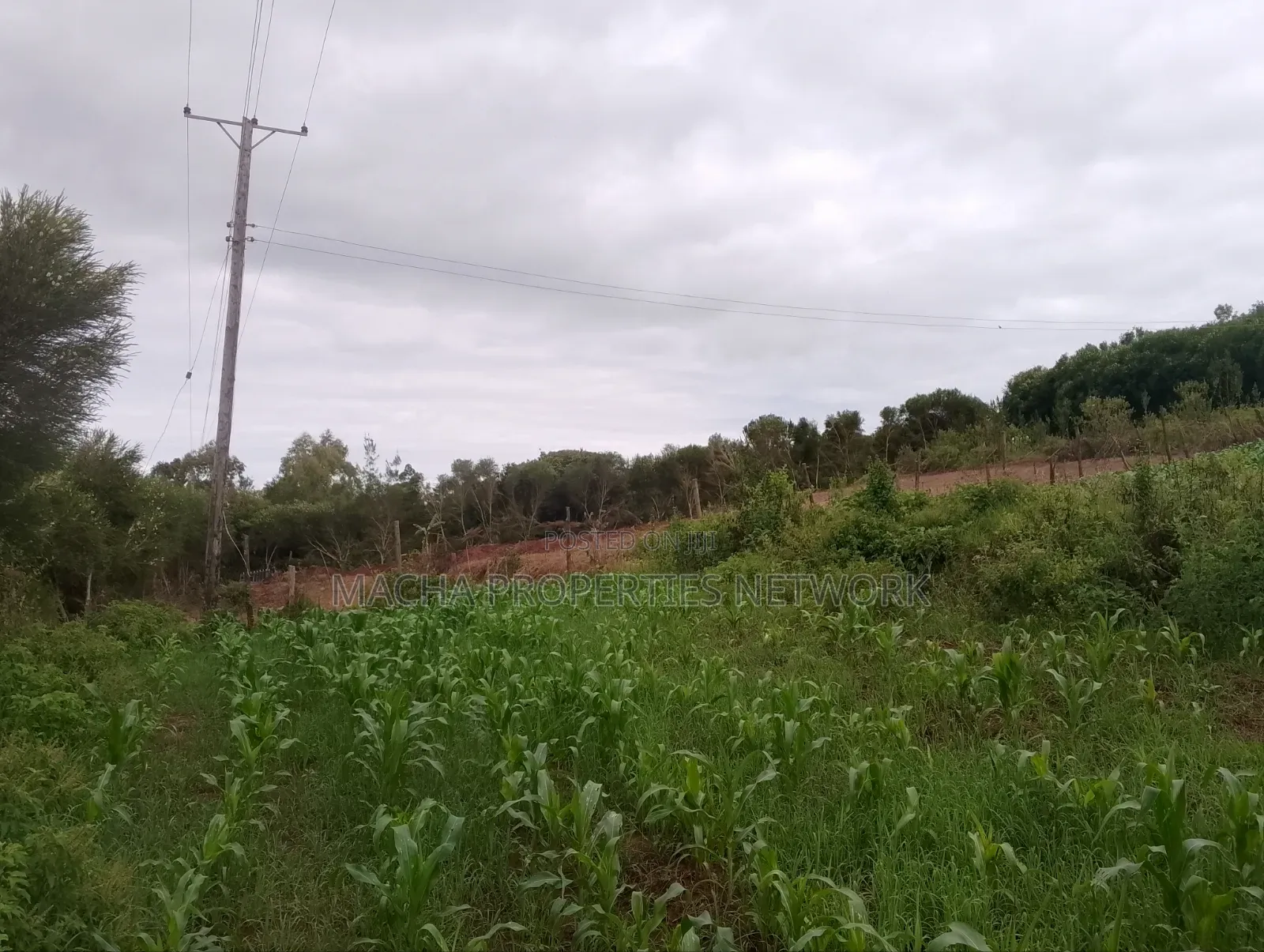1/4 Quarter Plot Mua Hills Fronting Tarmac Road