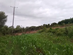 1/4 Quarter Plot Mua Hills Fronting Tarmac Road