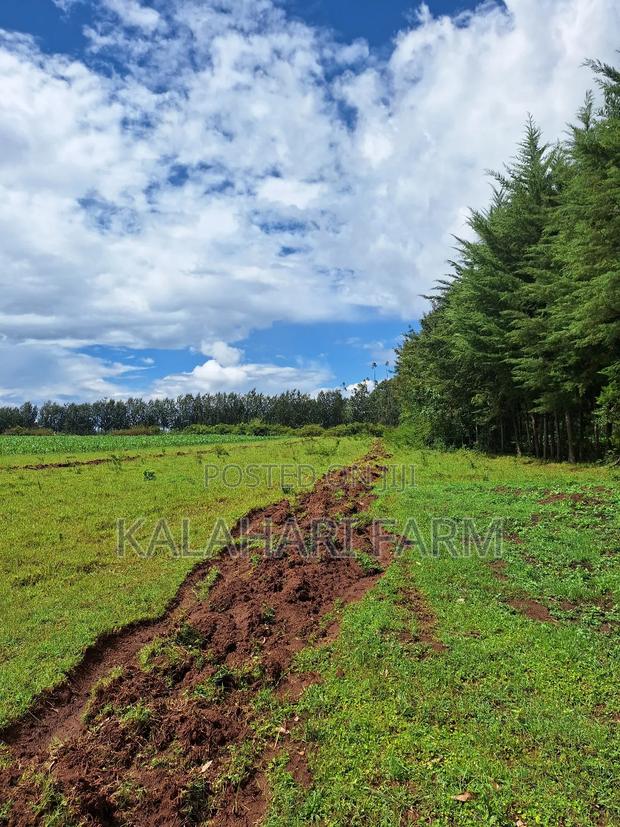 Prime Land for Sale – Trans Nzoia (Kitale Area)