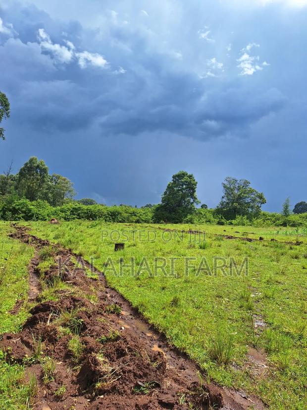 Prime Land for Sale – Trans Nzoia (Kitale Area) - thumbnail 2