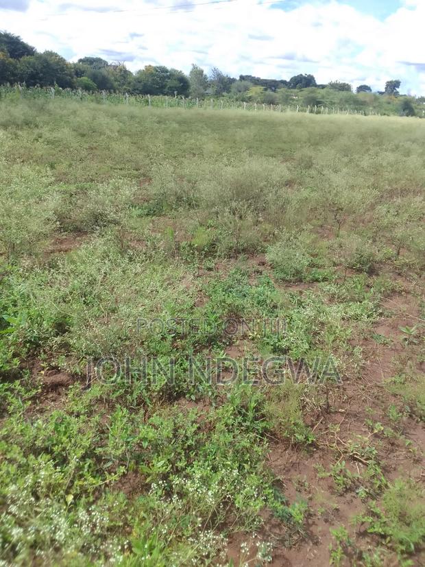 Matuu Prime Land - main view