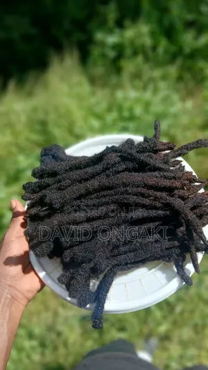 Natural Dreadlocks (Human Hair) – Thick Locks