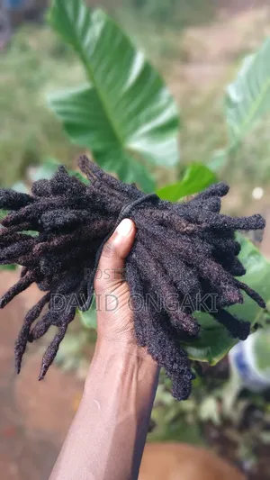 Natural Dreadlocks (Human Hair) – Thick Locks