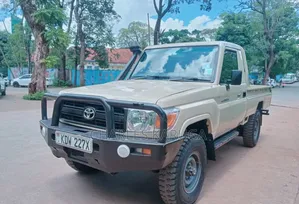 Toyota Land Cruiser 2013 Brown