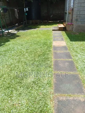 Lawnmowing and Gardening