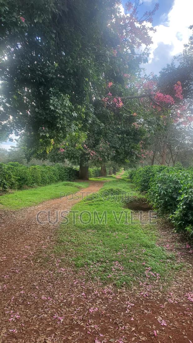 Manor Park - thumbnail 2