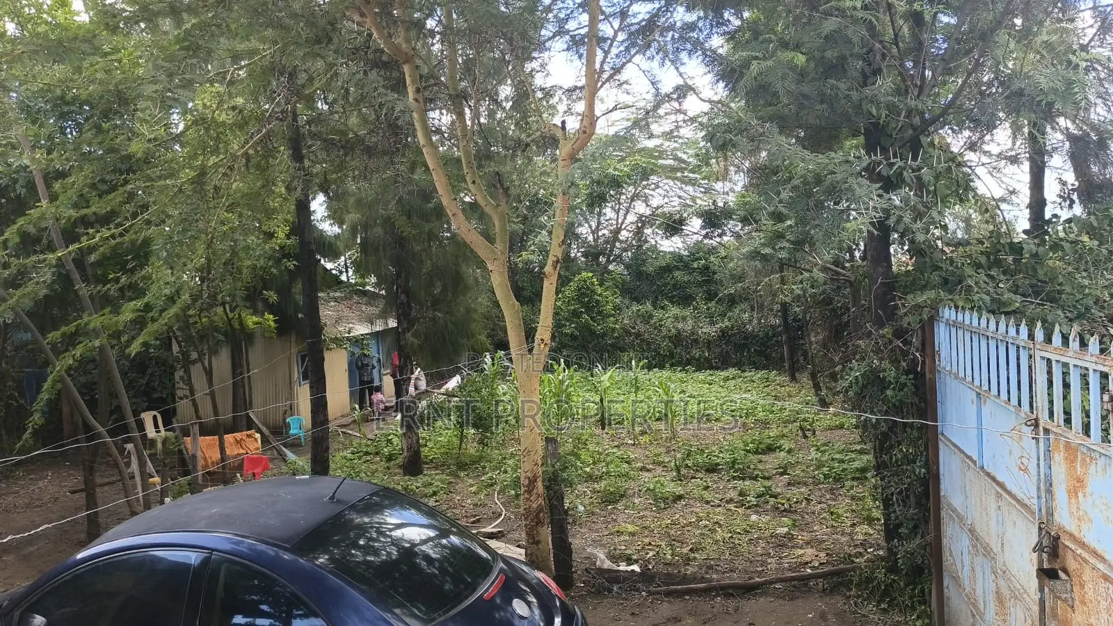 Corner Plot With 2br House for Sale in Airview Estate, Kitengela