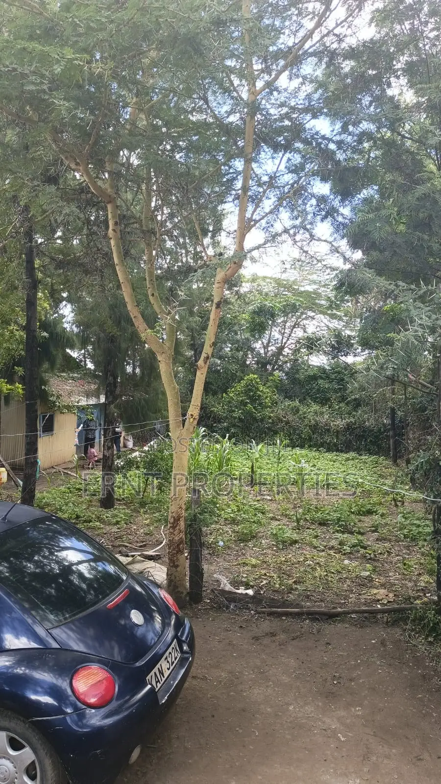 Corner Plot With 2br House for Sale in Airview Estate, Kitengela