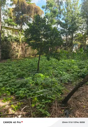Corner Plot With 2br House for Sale in Airview Estate, Kitengela