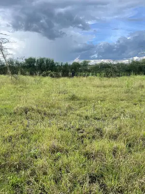 50x100 Plots Kinanie Near Daystar .Pay 1m Cash or 1.2m in Installments