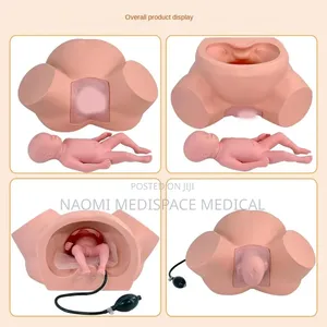 Training Delivery Manikin