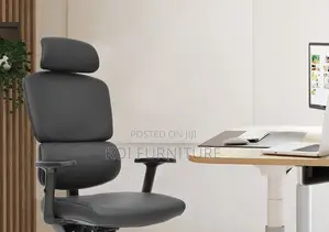 Office Chairs; Orthopedic Alvis 890 Executive Chairs