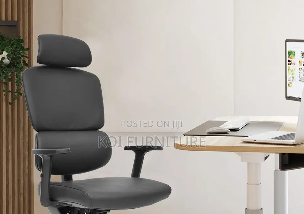 Office Chairs; Orthopedic Alvis 890 Executive Chairs