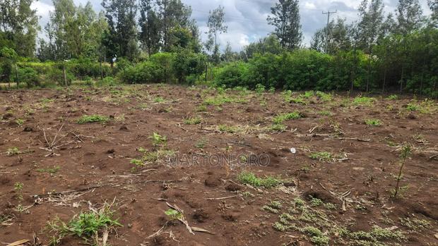 Sagana Kagio 3 Acres