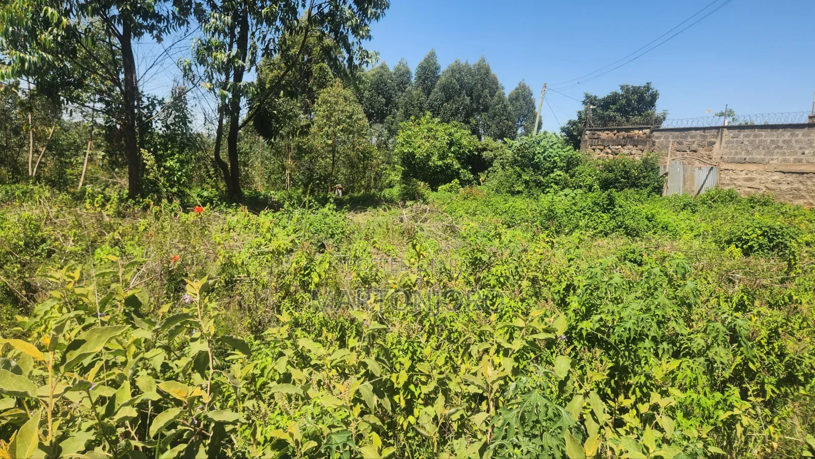5acres Makutano [ Sagana]