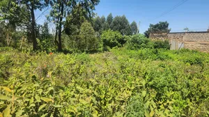5acres Makutano [ Sagana]