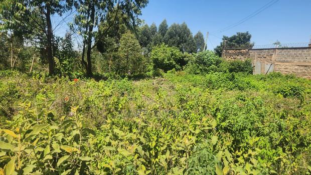 5acres Makutano [ Sagana]