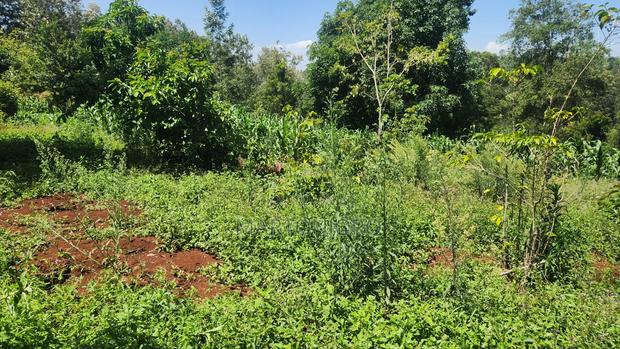 5acres Makutano [ Sagana] - thumbnail 2