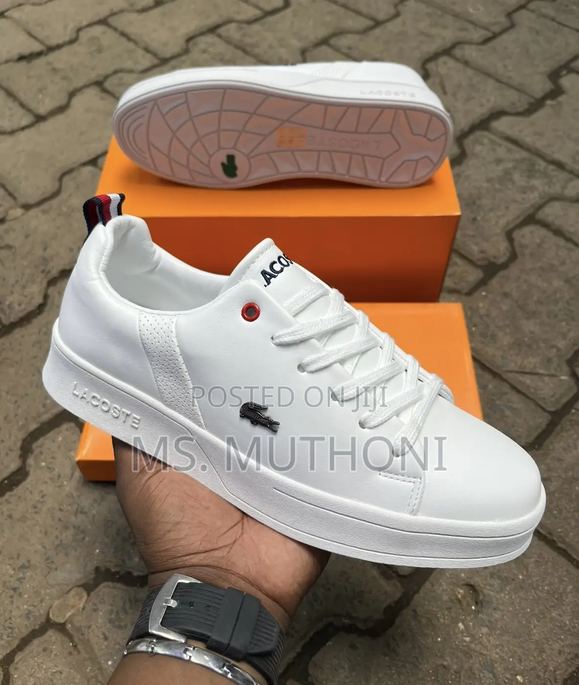 Casual Wear Sneakers for Gents ( Lacoste ) Size 40-45