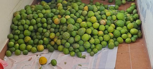 Lemons for Sale