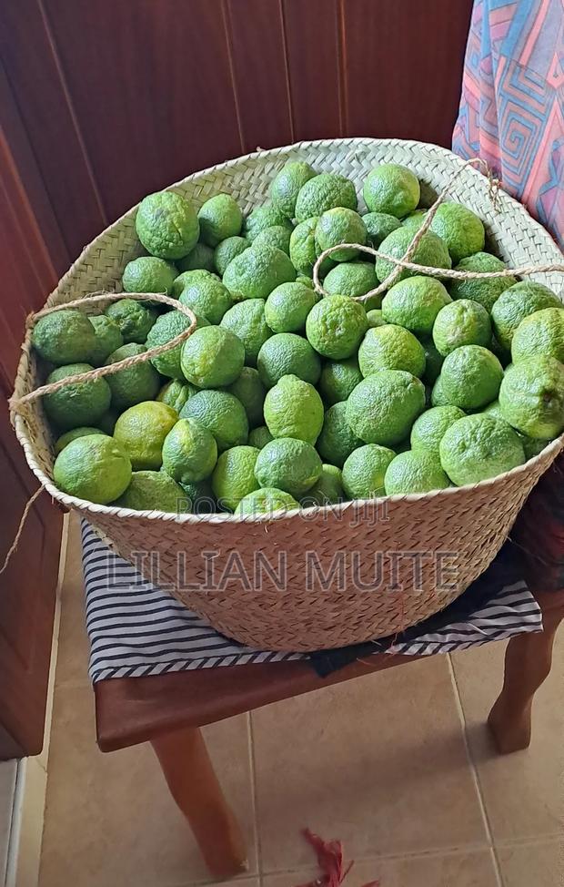 Lemons for Sale - thumbnail 2