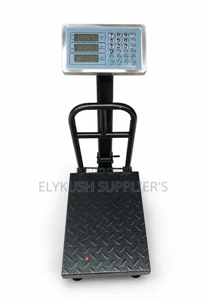 Heavy Duty Digital Platform Weighing Scale