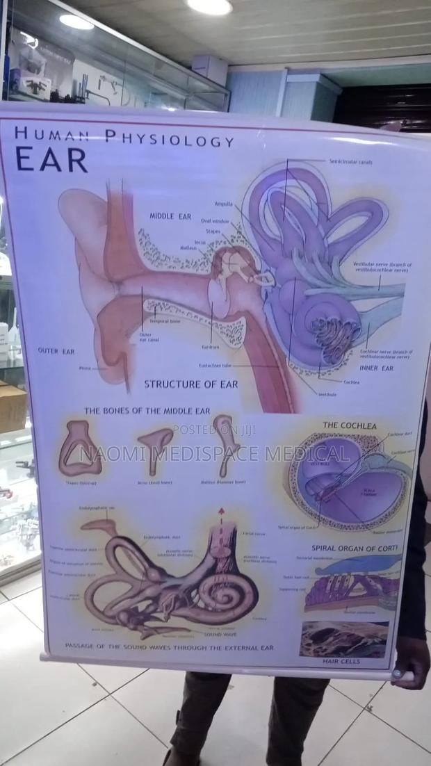 Ear Training Chart
