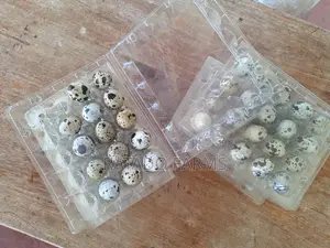 Quail Eggs
