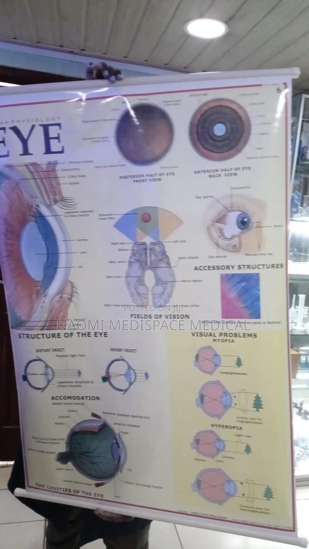 Eye Training Chart